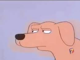 Best Shifty Eye Dog Gifs Gfycat Shifty eyed dog wants a pretzel. best shifty eye dog gifs gfycat