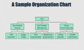 Small Business Organizational Chart Template Kozen