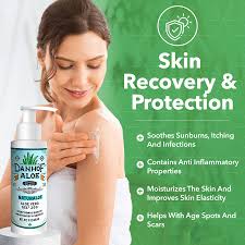 Image result for Aloe barendii