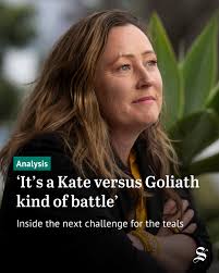 Analysis: While Jacqui Scruby was able to replicate the narrative of the  federal teal movement by wrestling Pittwater from the Liberals, Kiama  hopeful Kate Dezarnaulds faces an entirely different challenge.⁠ ⁠ Read