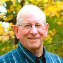 David Harry Seibel Obituary