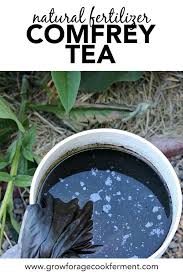 Comfrey Tea Homemade Natural Fertilizer In 2020 Comfrey Tea Natural Fertilizer Garden Illustration