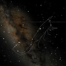 Scorpio Zodiac Art Star Sign Constellation Astrology Asterism By Artist Sam Z Scorpio Star Constellation Constellations Zodiac Art