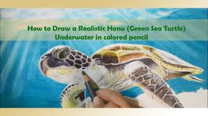 Incredibly durable, renewable, and rich in tonal variation, seagrass and abaca bring relaxed style to the dining room. How To Draw A Realistic Honu Green Sea Turtle Underwater In Colored Pe Under The Sea Drawings Sea Drawing Sea Turtle Drawing