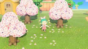 Cherry Blossoms Path Designed By Maddie Of Acnh Custom Designs Blossom Path Design Cherry Blossom