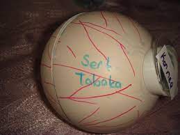 Gerçeğinden 100 kat küçük tam ölçüleriyle 1/100 ölçek. Maket Goz Yapimi Nasil Yapilir Malzemeler Neler Acill Eodev Com