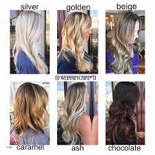 prototypic colour shades for hair chart hair color shades