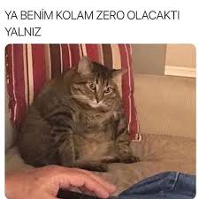 Mi Young Kim Tarafindan Caps Panosundaki Fikir Komik Hayvan Fotograflari Eglenceli Resimler Komik Hayvanlar