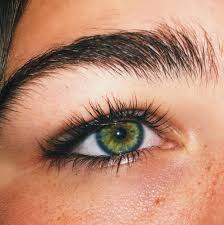 Pin By Anna On ˏˋ Inspo ˎˊ Aesthetic Eyes Rare Eyes Eye Photography