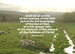 If We Read Through The Entire Bible We Are Unable To Find Any Statement Saying That Those Who Believe In Jesus Will Go To Heaven A Bible Truth Bible Scripture