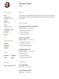 Het Gratis Cv Voorbeeld Caissiere Gratis Download Tips 2018