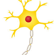 記憶の検索結果 | かわいいフリー素材集 いらすとや
