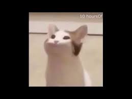 Check out amazing popcat artwork on deviantart. Pop Cat Meme 10 Hours Youtube