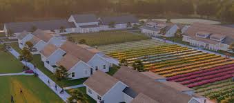 The Village — A New Leaf