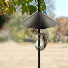 Click here to see the safety data sheets for this product. Amazon Com Woodlink Nabaf18 Audubon Wrap Around Squirrel Baffle 18 Inch Black Wild Bird Feeder Accessories Garden Outdoor