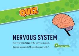 It helps you tickle, itch, and recoil! Grade 5 Human Body Lesson 10 Nervous System Ms Palmer S Classroom Applied Behaviour Analysis Aba In Action Academic And Behaviour Support For Teachers And Students