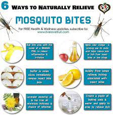 Pin On Natural Living