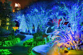 Atlanta Botanical Garden Atlanta Botanical Garden Holiday Nights Christmas Light Displays