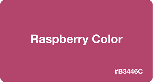 We did not find results for: Raspberry Color Hex Code B3446c