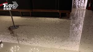 We hope this will help you in learning languages. I17x Yqsvdqlmm