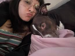 Low income neutering options for dogs?