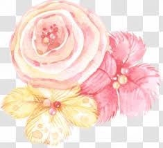 Check spelling or type a new query. Carnation Flower Tattoo Png Images Transparent Carnation Flower Tattoo Images