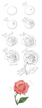 7 Drawing Tips For Beginners Dessin Fleur Fleur Dessin Facile Comment Dessiner Une Fleur
