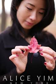 Alice Yim's Instagram, Twitter & Facebook
