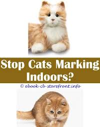 19 Unearthly Cat Spray Baking Soda Admirable