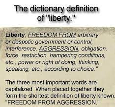 Pin By Mary Schoolcraft On Voluntaryism Anarchy Definition Of Liberty Dictionary Definitions Short Definition