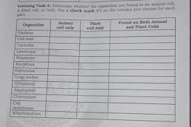 Organelles in animal cells are shown in figure 2. Learning Tank 4 Determine Whether The Organelles Are Found In An Animal Cell A Plant Cell Or Both Brainly Ph