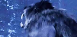 Van Helsing Werewolf Gif Vanhelsing Werewolf Stigma Discover Share Gifs Animated gif uploaded by reverieoftheowl. van helsing werewolf gif vanhelsing werewolf stigma discover share gifs