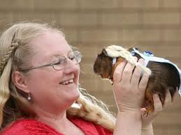 Guinea pig costumes Penrith