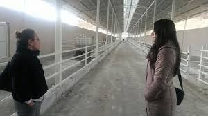 TKDK Projeleri kapsamında Halil AYDEMİR ve Songül SELVİ' ye ait tesislerde  gerekli incelemeler yapılmıştır.