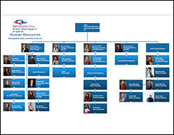 Organizational Charts Administration Branch Msu Denver