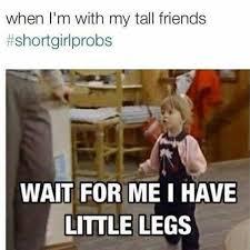Pin By Alexandra On Funny To Me Short Girl Memes Short Girl Problems Girl Memes