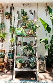 Plants Galore Natural Home Decor Plant Decor Plants