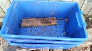 Below are instructions on how to build one kind of worm composting bin designed to be used inside. Selling Worms For Profit A Simple Micro Business Dynastus
