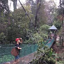 Hai korang semalam kitaorg pergi hutan simpan bukit nenas atau dikenali jugak sebagai kl eco forest.kat sana ada jambatan. Enjoyed Fresh Morning Breathssss Hutan Simpan Bukit Nanas Let Us Explore Kuala Lumpur And Stay Connected With 4g Network Broadband In Malaysia By Visondata