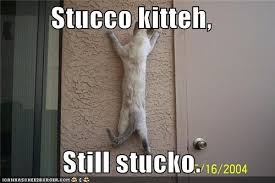 Maybe you would like to learn more about one of these? I Can Has Cheezburger