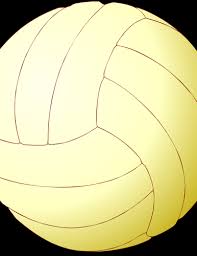 2013 All-conference volleyball selections