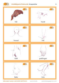 This list of human body parts includes common anatomical divisions and the body parts that compose those divisions. I4 M Flashcards Body Parts In Swedish