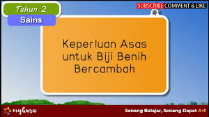 Kita akan belajar apakah keperluan asas biji benih dan. Tahun 2 Sains Keperluan Asas Biji Benih Untuk Bercambah Youtube