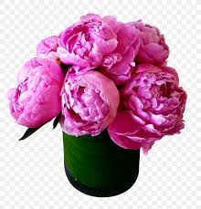 Peonies flower with roses and clematis and are lovely with many other perennials; Cut Flowers Peony Flower Bouquet Garden Roses Png 2552x2659px Flower Artificial Flower Cut Flowers Flower Bouquet