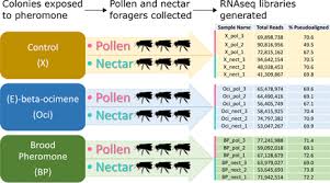 Pest control service in sherman, texas. Honey Bee Apis Mellifera Larval Pheromones Regulate Gene Expression Related To Foraging Task Specialization Biorxiv