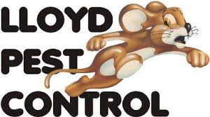 From inspection to trenching to fumigation tenting, termite control service typically occurs in stages. Crm With Marketing Automation Greenrope