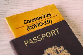Estar vacunado, haber pasado la enfermedad o tener una prueba diagnóstica tiene la misma validez para poder viajar libremente entre los países de la unión. China Lanza Un Certificado Digital De Vacunacion Covid Free Para Viajar Al Extranjero Economia