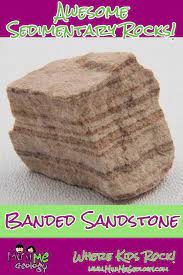 Banded Sandstone Sedimentary Rock Mini Me Geology Sedimentary Rocks Sedimentary Rock