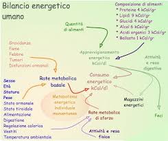 Ricco di fibre, aiuta a ridurre trigliceridi e colesterolo. Calorie Negative Cosa Sono E Come Funzionano La Top 10 Dei Cibi A Calorie Negative Bimbonaturale Org