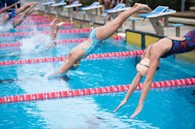 1) focus on technique in swimming, your success as an athlete hinges on how efficiently you can move through the water. Swimming Coaching 101 Swimming Coaching Tips Wg Aquatics